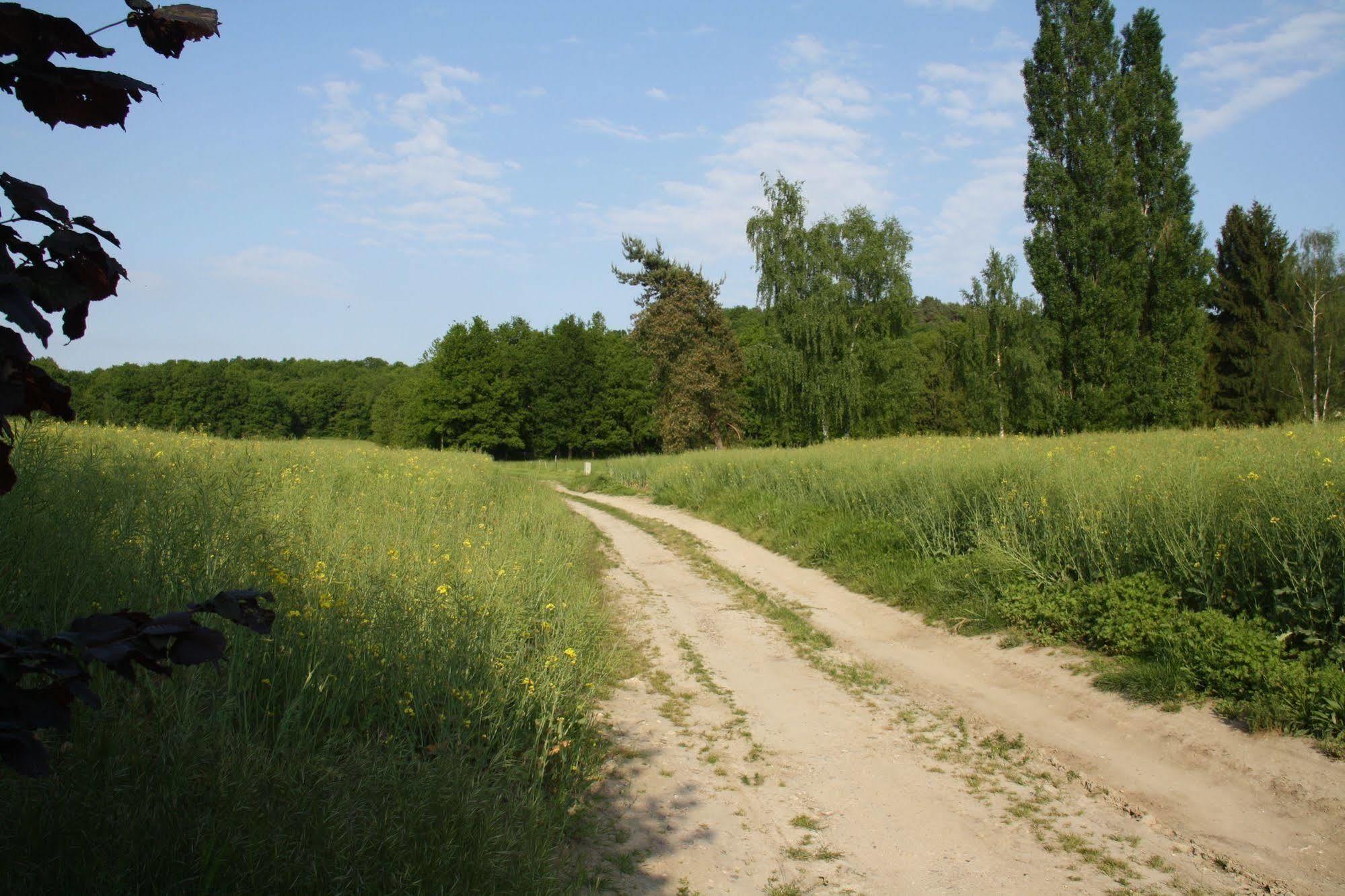 La Raimbaudiere Bed and Breakfast Guigneville-sur-Essonne Exterior foto